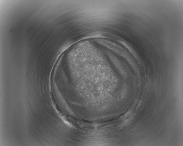 X0000066950858200604142047