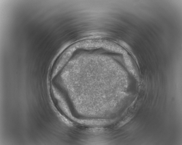 X0000066950859200604142047