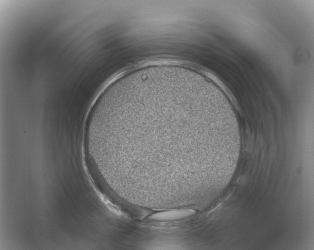 X0000066950861200604142047