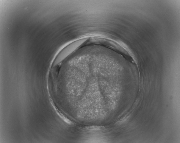 X0000066950862200604142047