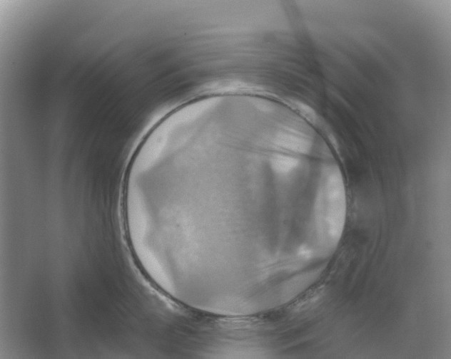 X0000066950863200604142047