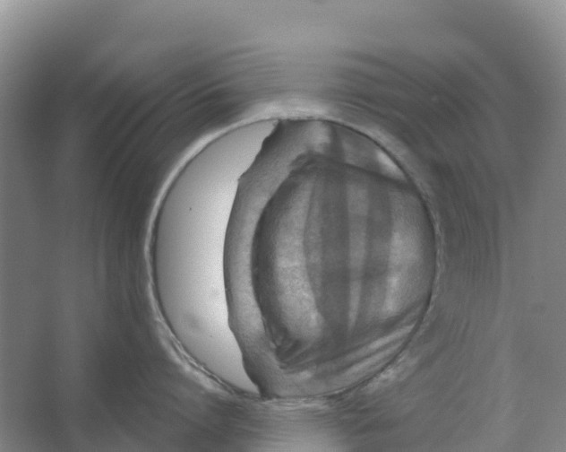 X0000066950864200604142048