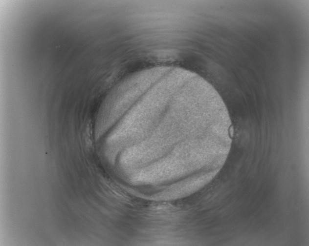 X0000066950866200604142047