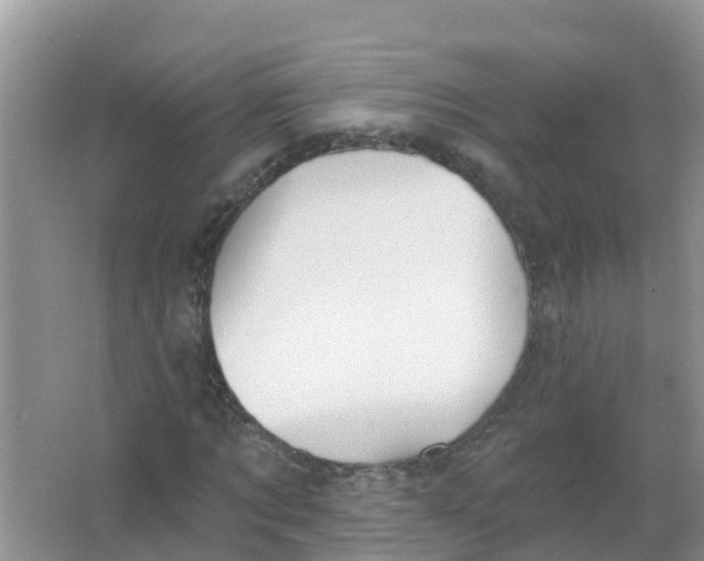 X0000066950869200604142047