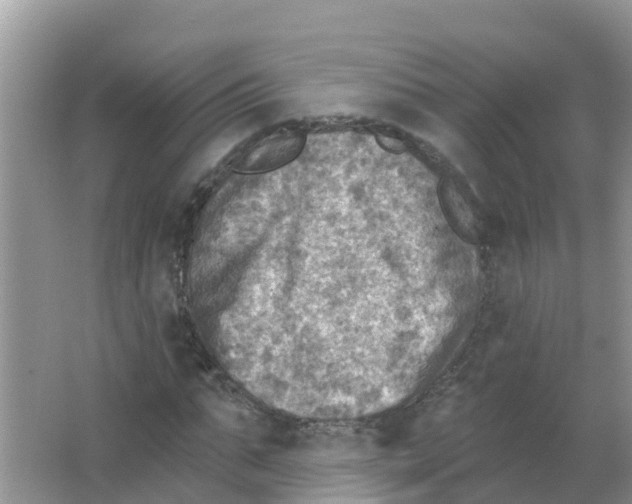 X0000066950871200604142047