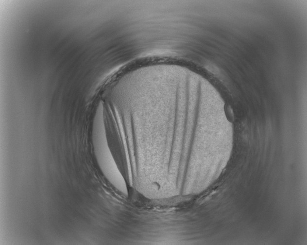 X0000066950872200604142047