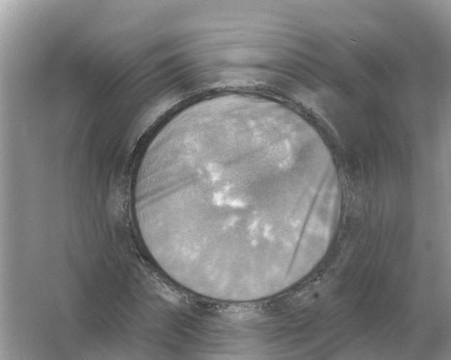 X0000066950874200604142047