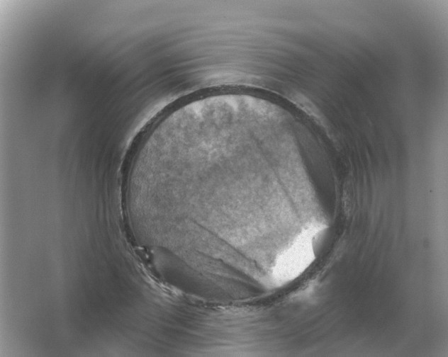 X0000066950877200604142047