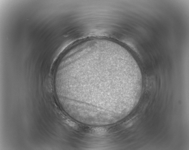 X0000066950878200604142046