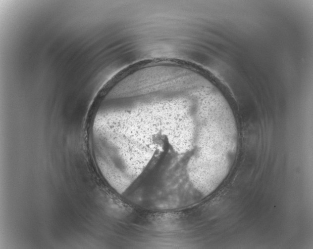 X0000066950879200604142046