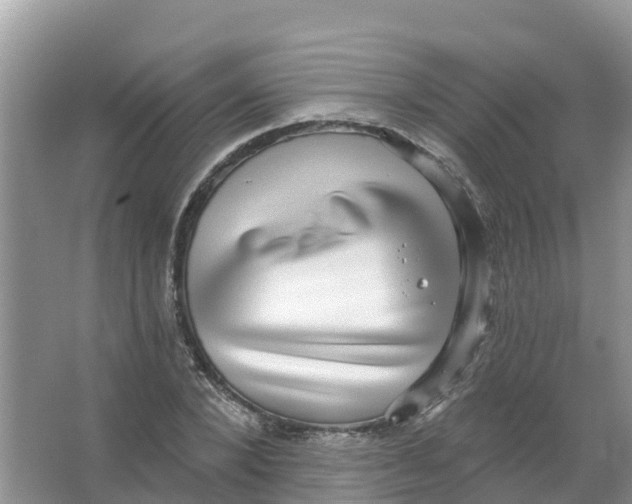 X0000066950880200604142046