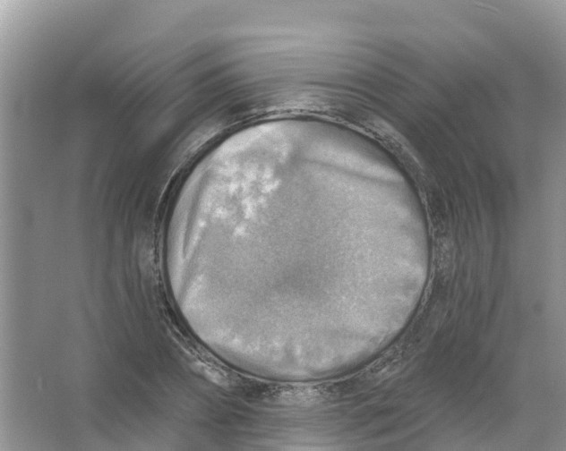 X0000066950882200604142046