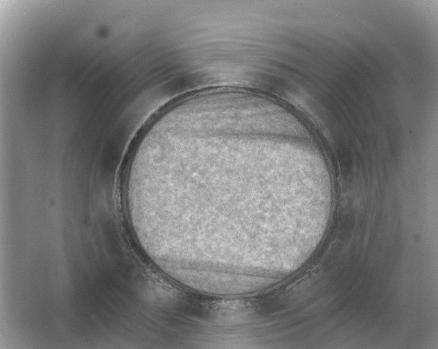 X0000066950883200604142046