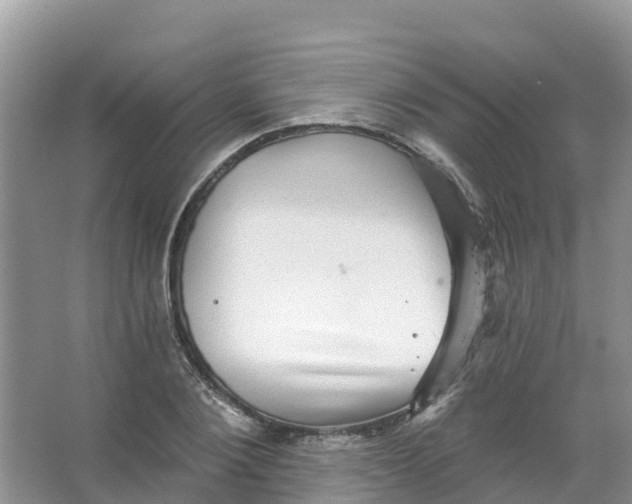 X0000066950884200604142046