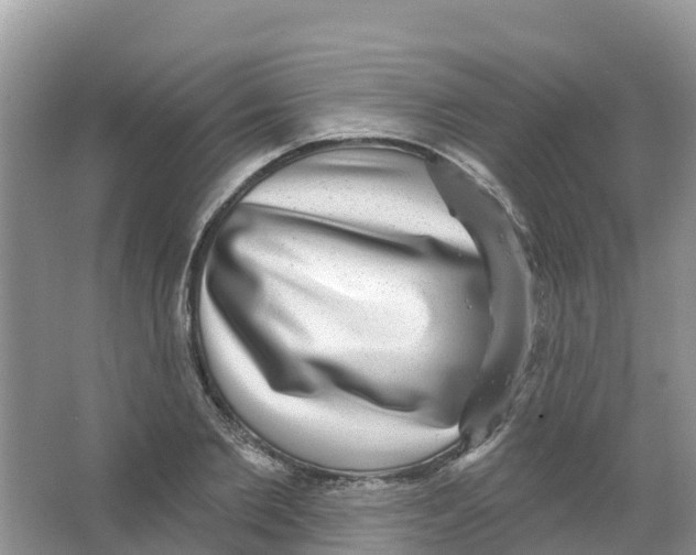 X0000066950885200604142046