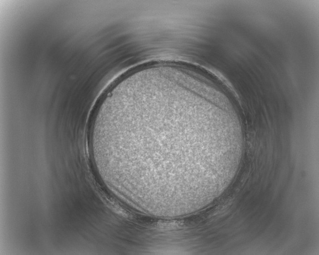 X0000066950887200604142046