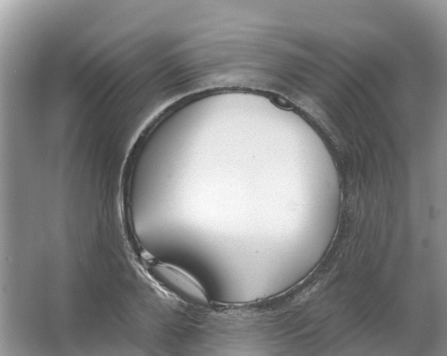 X0000066950888200604142046