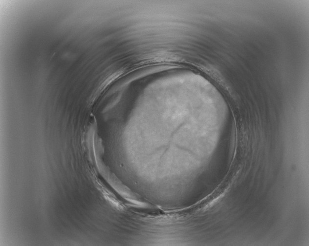 X0000066950889200604142046