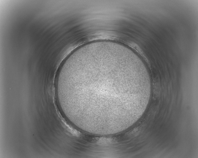 X0000066950890200604142046