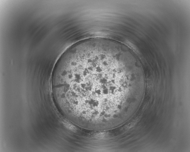 X0000066950891200604142046