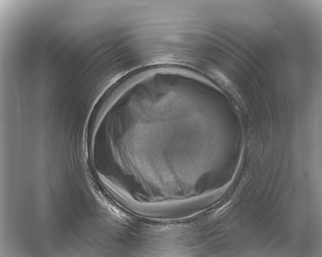 X0000066950892200604142046