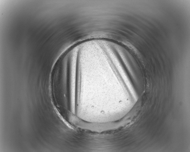 X0000066950894200604142046