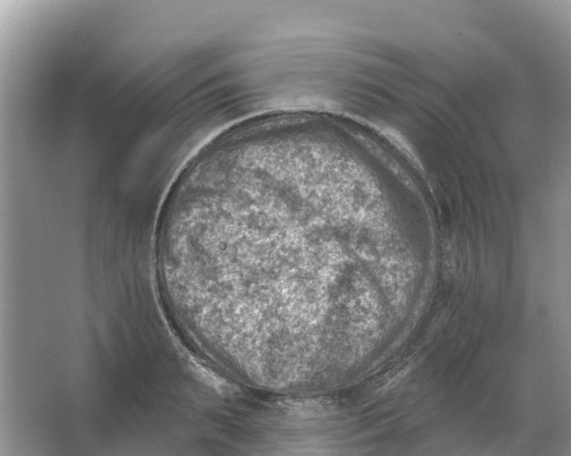 X0000066950895200604142046