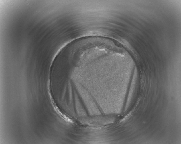 X0000066950896200604142046