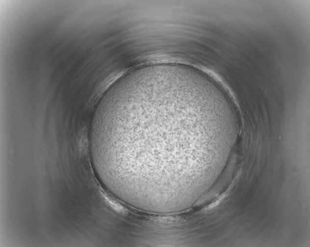 X0000066950897200604142046