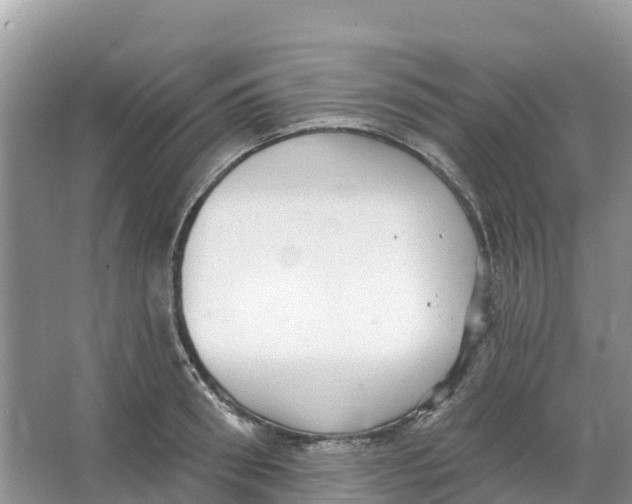 X0000066950898200604142046