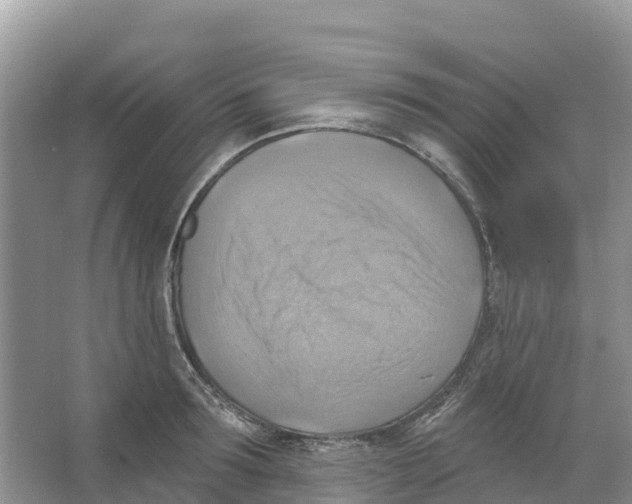 X0000066950899200604142046