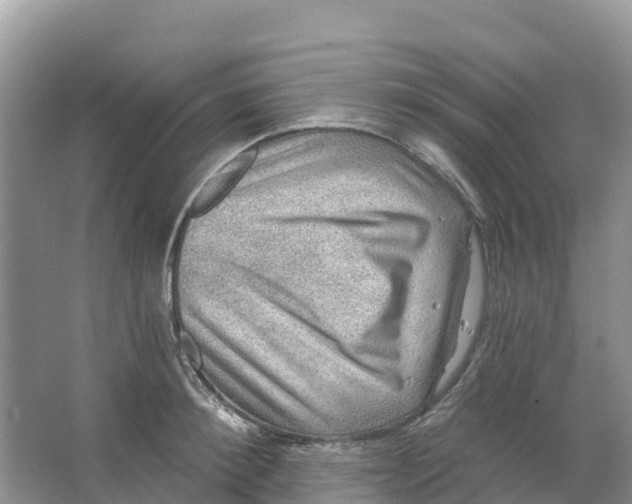 X0000066950900200604142046