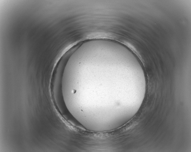 X0000066950901200604142046