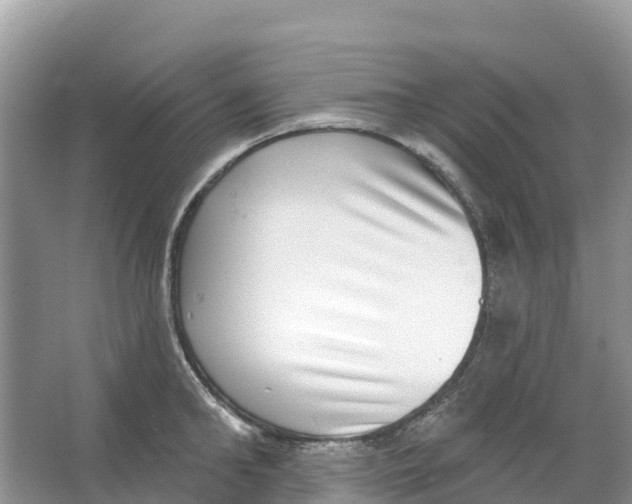 X0000066950902200604142046