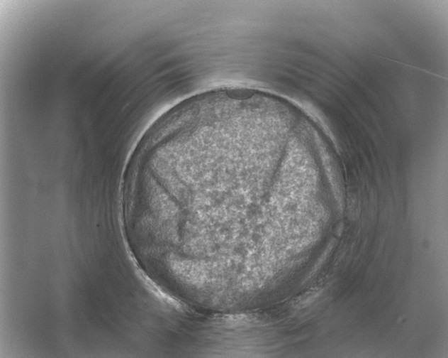 X0000066950903200604142046