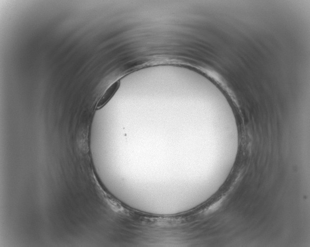 X0000066950905200604142046