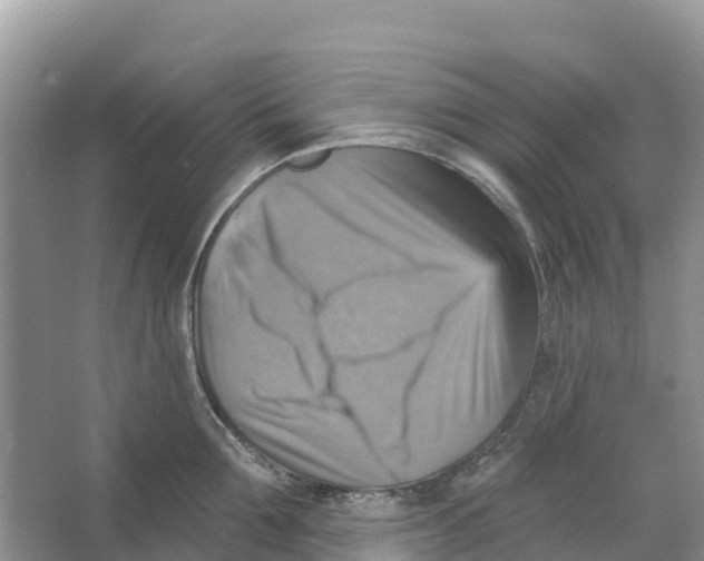 X0000066950907200604142046