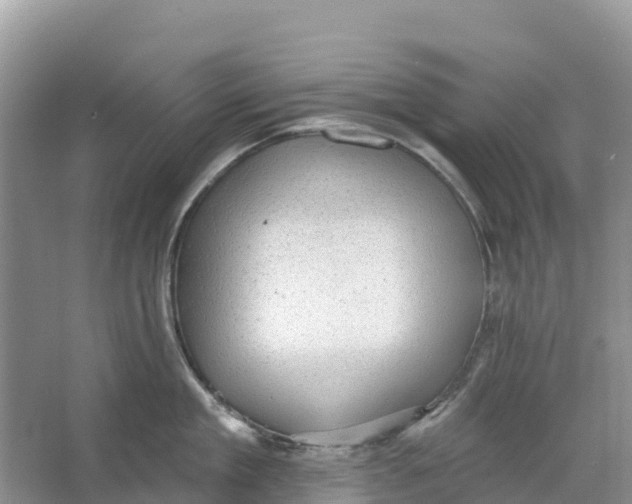 X0000066950909200604142046