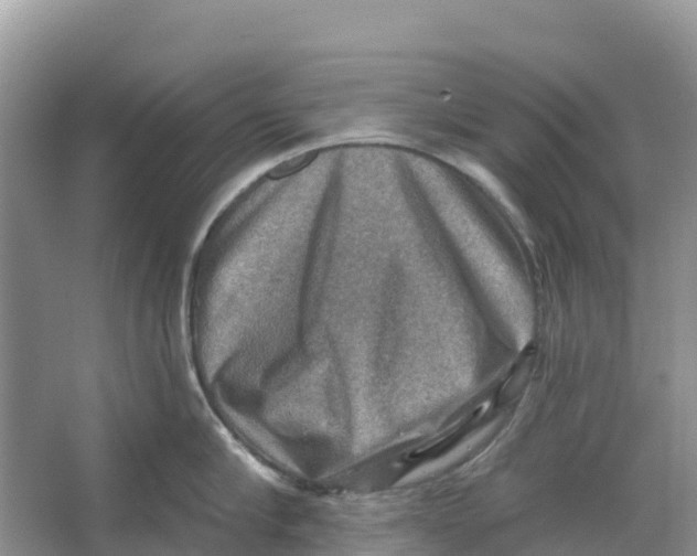 X0000066950910200604142046