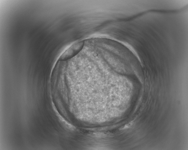 X0000066950911200604142046