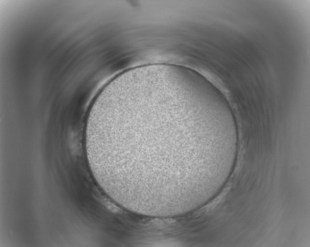 X0000066950912200604142046