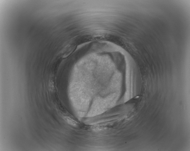 X0000066950916200604142045