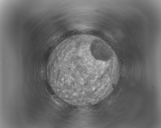 X0000066950917200604142045