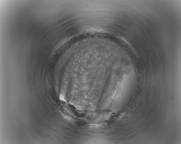 X0000066950919200604142045