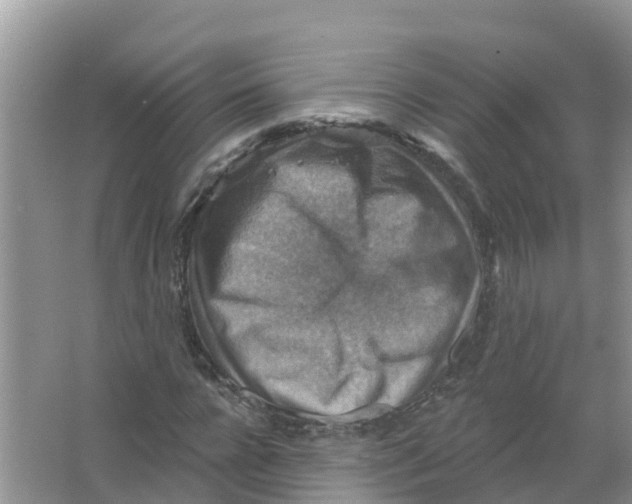 X0000066950920200604142045