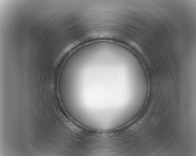 X0000066950922200604142045