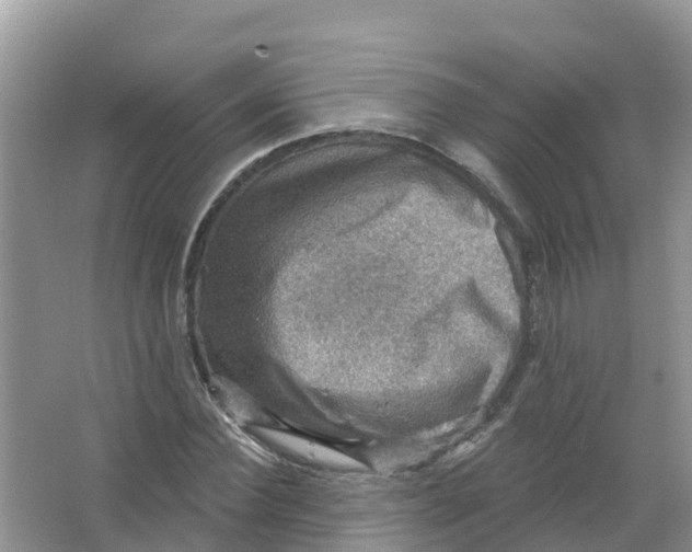 X0000066950924200604142045