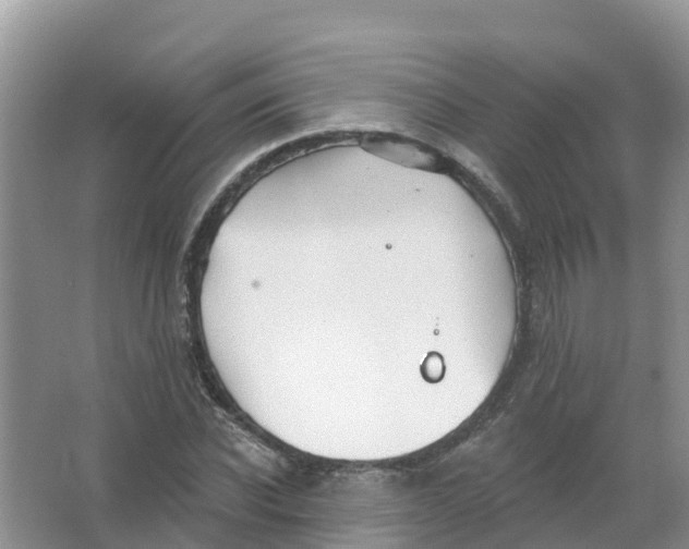 X0000066950926200604142045