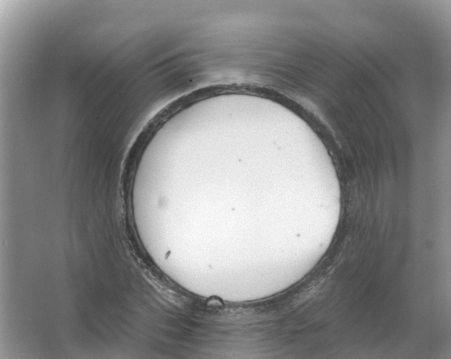 X0000066950927200604142045