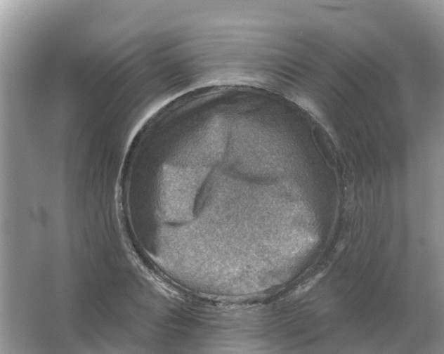 X0000066950928200604142045